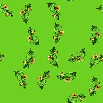 Pattern yellow evening primrose sketch hand drawn Stock Illustration