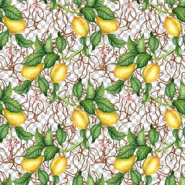Pattern yellow lemons and brown outline watercolor Stock Illustration