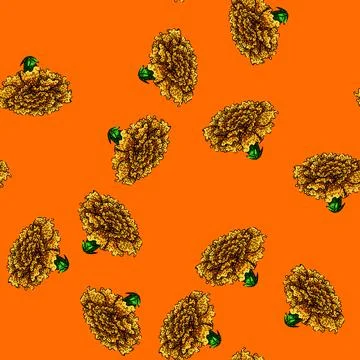 Pattern yellow marigold sketch hand drawn Stock Illustration
