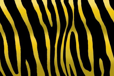 Pattern with zebra print. Black gold background.	 Stock Photos