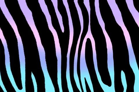 Pattern with zebra print. Black gradient background.	 Stock Photos