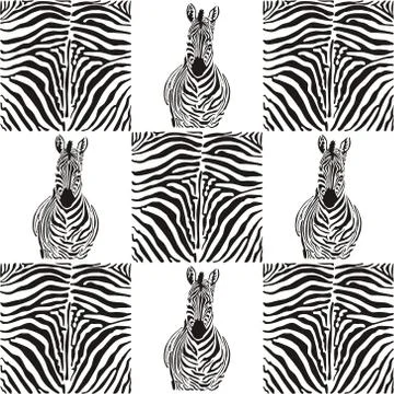 Pattern zebras for textiles Stock Illustration