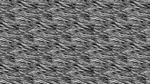 Pattern with zigzag white lines Stock Footage 151009429