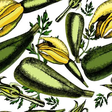 Pattern of zucchini and inflorescences Stock Illustration