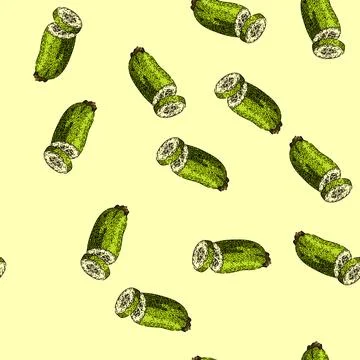 Pattern zucchini marrow vegetable sketch hand drawn Stock Illustration