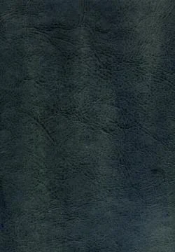 Patterned black faux leather texture Stock Photos