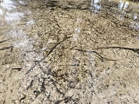 Patterned clear water on the coast Stock Photos