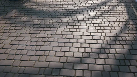 Patterned Cobblestone Pavement Surface with Diagonal Tree Shadows Stock Footage 333815557