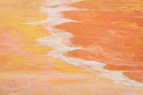 Patterned coloured surface of pond covered with algae in dry season Stock Photos