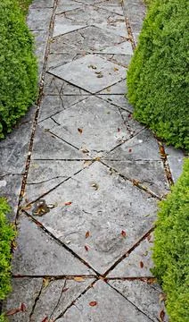 A patterned concrete block walkway between rounded topiary shrubs in an Engli Stock-Fotos