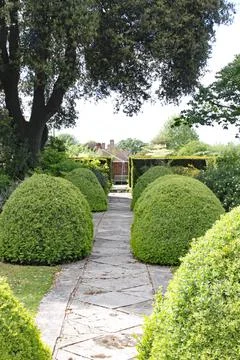 A patterned concrete block walkway between rounded topiary shrubs in an Engli Stock Photos