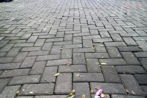 Patterned concrete paving blocks with dry fallen leaves scattered around 스톡 사진
