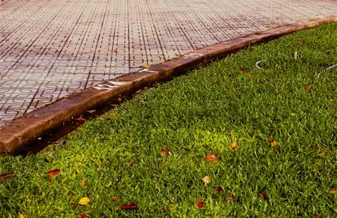 Patterned Concrete Sidewalk Bordering Green Lawn with Fall Leaves Stock Photos