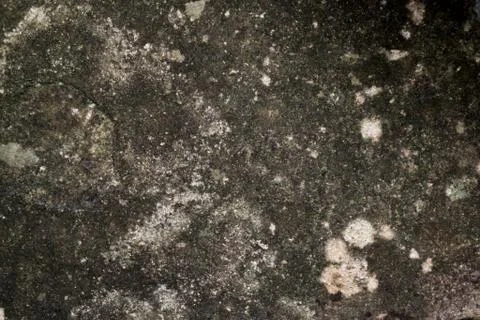 Patterned Concrete Stone Texture Stock Photos