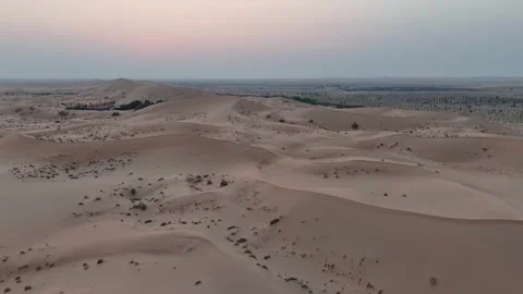 Patterned Desert Sand Dunes with Scattered Shrubs Abu Dhabi Stock Footage 333104211