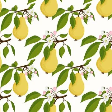 Patterned design features pears, leaves, and blossoms on white Stock Illustration