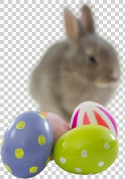 Patterned Easter eggs against bunny 写真素材