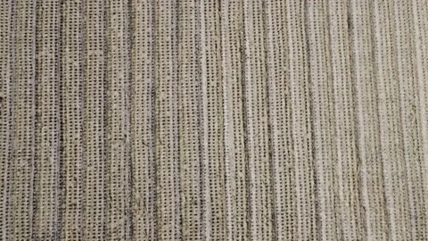 Patterned Field Stock Footage 229058379