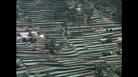 Patterned Fields on Hillside Video stock 278167426