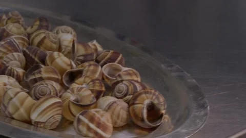 Patterned sea snail shells displayed on a metal platter Video stock 344301615