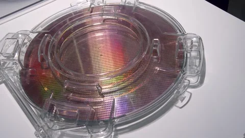 Patterned silicon wafers in a universal pod. Stock Footage 312239241