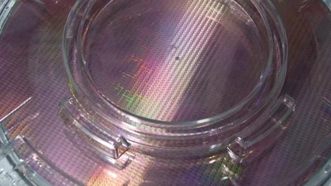Patterned silicon wafers in a universal pod. Stock Footage 312239286