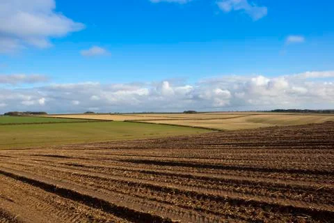 Patterned soil texture Stock Photos