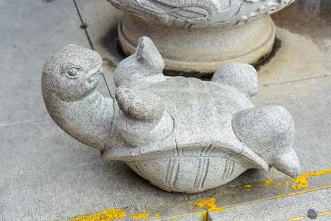 Patterned stone turtle on the territory of Buddhist center Nanshan. Stock Photos