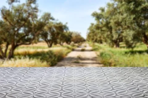 Patterned Tile Foreground With Olive Grove and Dirt Path in Warm Mediterranean L Stock Photos