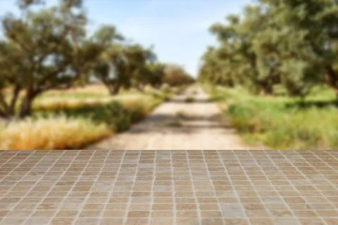Patterned Tile Foreground With Olive Grove and Dirt Path in Warm Mediterranean L Stock Photos