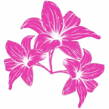 Pattern,pattern,botany,botanical print,flowers,lilies,bells,forest flowers,garde Stock Illustration