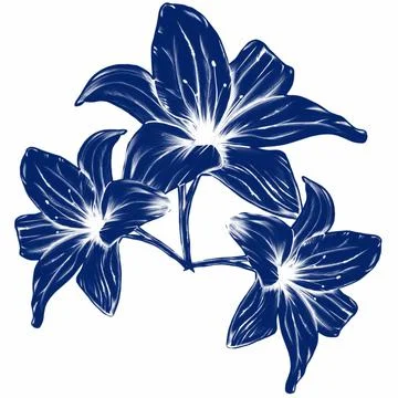 Pattern,pattern,botany,botanical print,flowers,lilies,bells,forest flowers,garde Stock Illustration