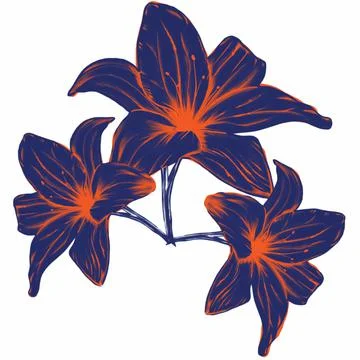 Pattern,pattern,botany,botanical print,flowers,lilies,bells,forest flowers,garde Stock Illustration