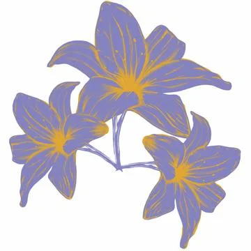 Pattern,pattern,botany,botanical print,flowers,lilies,bells,forest flowers,garde Stock Illustration