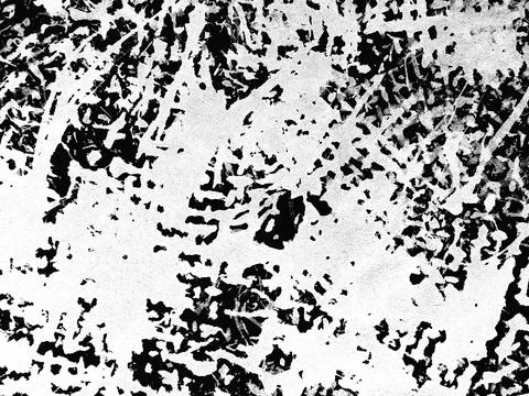 Patterns Abstract grunge texture or background wall. white paint pattern over 写真素材