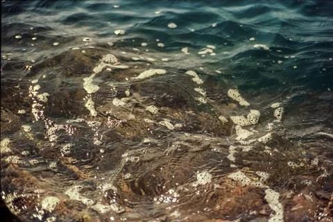 Patterns and foam of waves in the ocean, shot with analogue color film techni Stock Photos