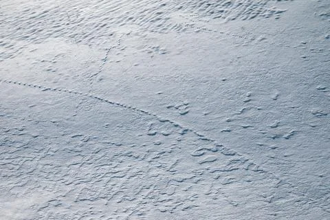 Patterns and reflections in a snowy field Stock Photos