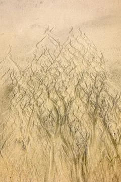 Patterns and stripes in the beach sand caused Stock Photos