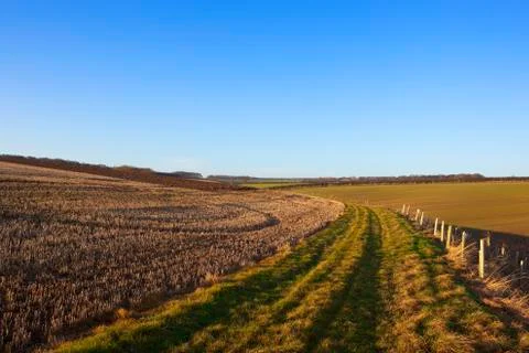 Patterns and textures of an autumn landscape Stock Photos