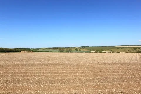Patterns and textures in the chalk soil of the Yorkshire wolds Stock Photos