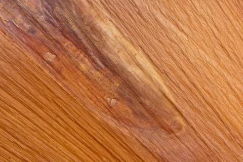 Patterns and textures in falling dying palm leaf Stock Photos