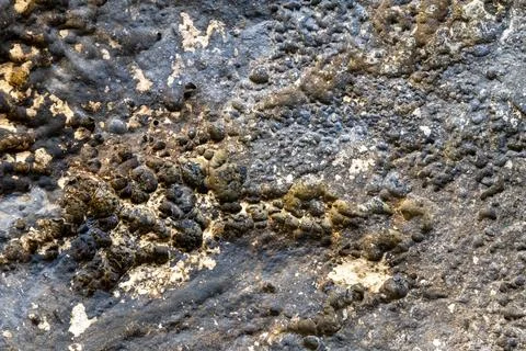 Patterns and textures of a rock wall Stock Photos