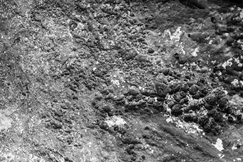 Patterns and textures of a rock wall with holes, black and white Stock Photos