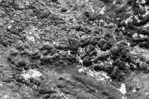 Patterns and textures of a rock wall with holes, black and white Stock Photos