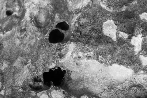 Patterns and textures of a rock wall with holes, black and white Stock Photos