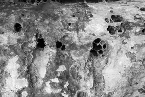Patterns and textures of a rock wall with holes, black and white Stock Photos