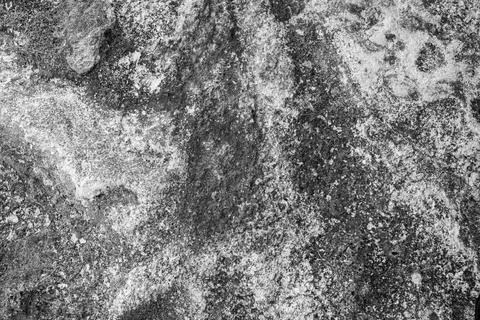 Patterns and textures of a rock wall with holes, black and white Stock Photos