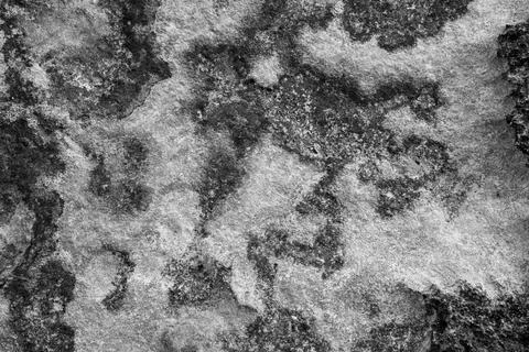 Patterns and textures of a rock wall with holes, black and white Stock Photos