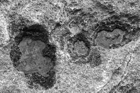 Patterns and textures of a rock wall with holes, black and white Stock Photos