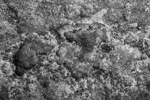 Patterns and textures of a rock wall with holes, black and white Stock Photos